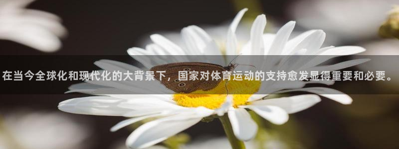 谈球吧