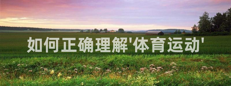 谈球吧