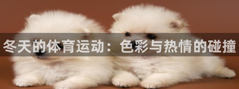 谈球吧