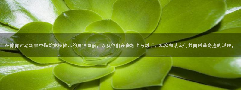 谈球吧