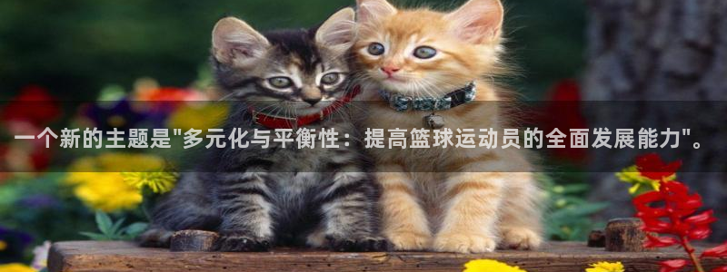 谈球吧体育