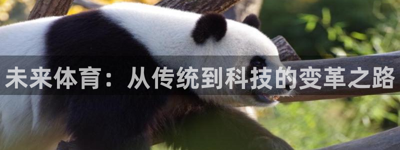 谈球吧