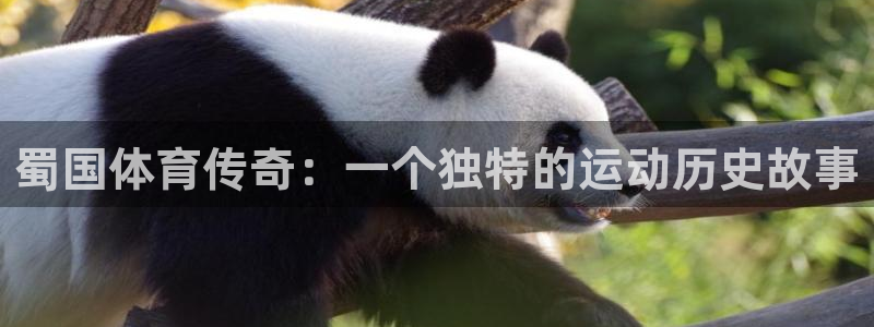 谈球吧体育