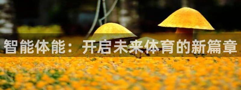谈球吧：智能体能：开启未来体育的新篇章