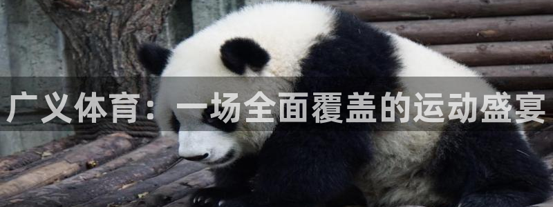 谈球吧体育官网：广义体育：一场全面覆盖的运动盛宴