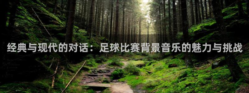 谈球吧体育：经典与现代的对话：足球比赛背景音乐的魅力与挑战
