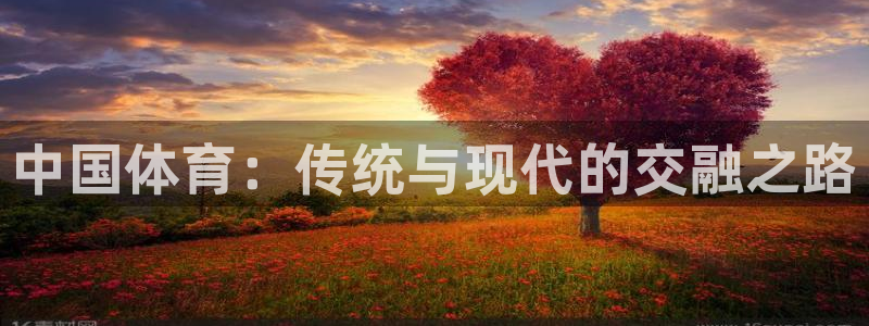 谈球吧体育官网：中国体育：传统与现代的交融之路