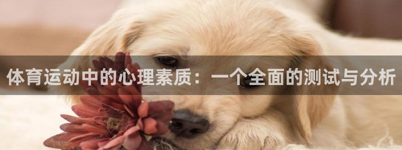 谈球吧体育官网：体育运动中的心理素质：一个全面的测试与分析