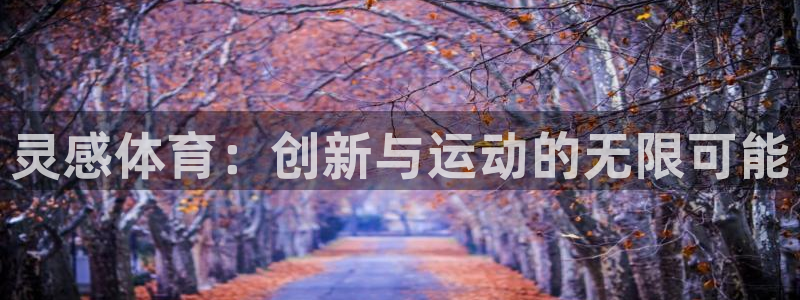 谈球吧体育官网：灵感体育：创新与运动的无限可能