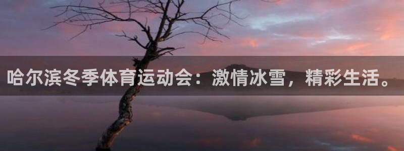 谈球吧体育：哈尔滨冬季体育运动会：激情冰雪，精彩生活。