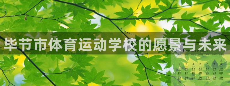 谈球吧：毕节市体育运动学校的愿景与未来